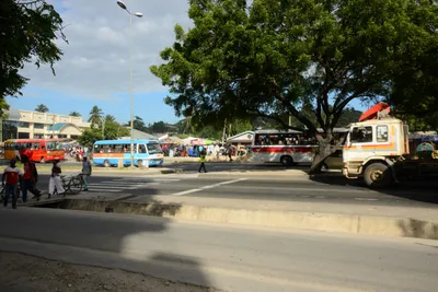 DSC_9750 (Large).JPG